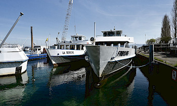 Wie viele Schiffe werden 2026 noch auf dem Neuenburger und Murtensee verkehren? Die Mitarbeitenden der LNM sind besorgt und fühlen sich von der Leitung wenig beruhigt.